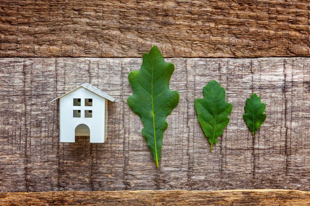 Eco-Friendly Home Renovation Tips for Residences