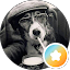 flyhi309 Avatar